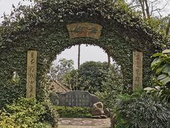 -南山植物园