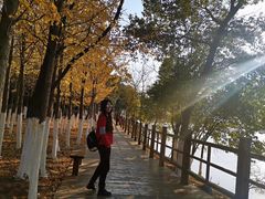 -艾溪湖湿地公园