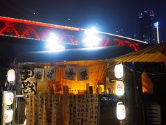 -重庆市江北嘴中央商务区中央公园