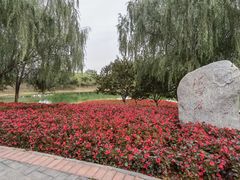 -永定河休闲森林公园