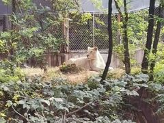 -石家庄市动物园