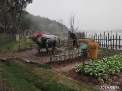 -天目湖山水园
