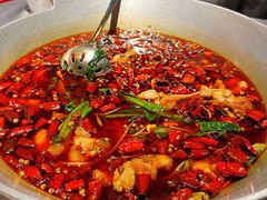 -红辣椒·川菜·火锅(张杨路店)