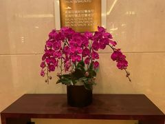 -长沙顺天凯宾斯基酒店·祈顺酒家中餐厅(雨花亭店)