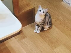 -comecome来吧宠物(奥克斯中心店)