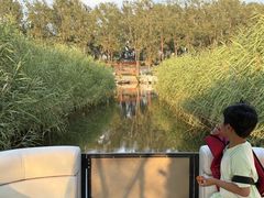 -白洋淀景区