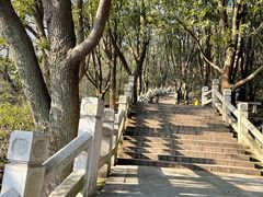 -灵岩山风景区