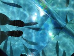-暹罗海洋世界