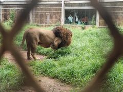 -昆明动物园