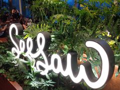 -Seesaw Coffee(朝阳大悦城店)