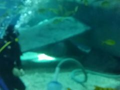 -福州罗源湾海洋世界旅游区