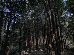 -火炉山森林公园