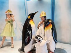 -海合安成都极地海洋公园