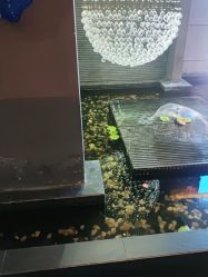 -苏亚医美·高端注射明星整形机构