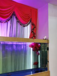 -WENDY·温迪皮肤管理