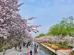-海棠花溪(元大都城垣遗址公园)