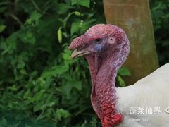 -贵阳蓬莱仙界