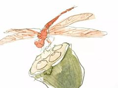 -八哥美术·成人美术画室(总校区)