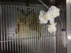 -纳吉亚猫专科动物诊疗中心(蒋宅口分院)