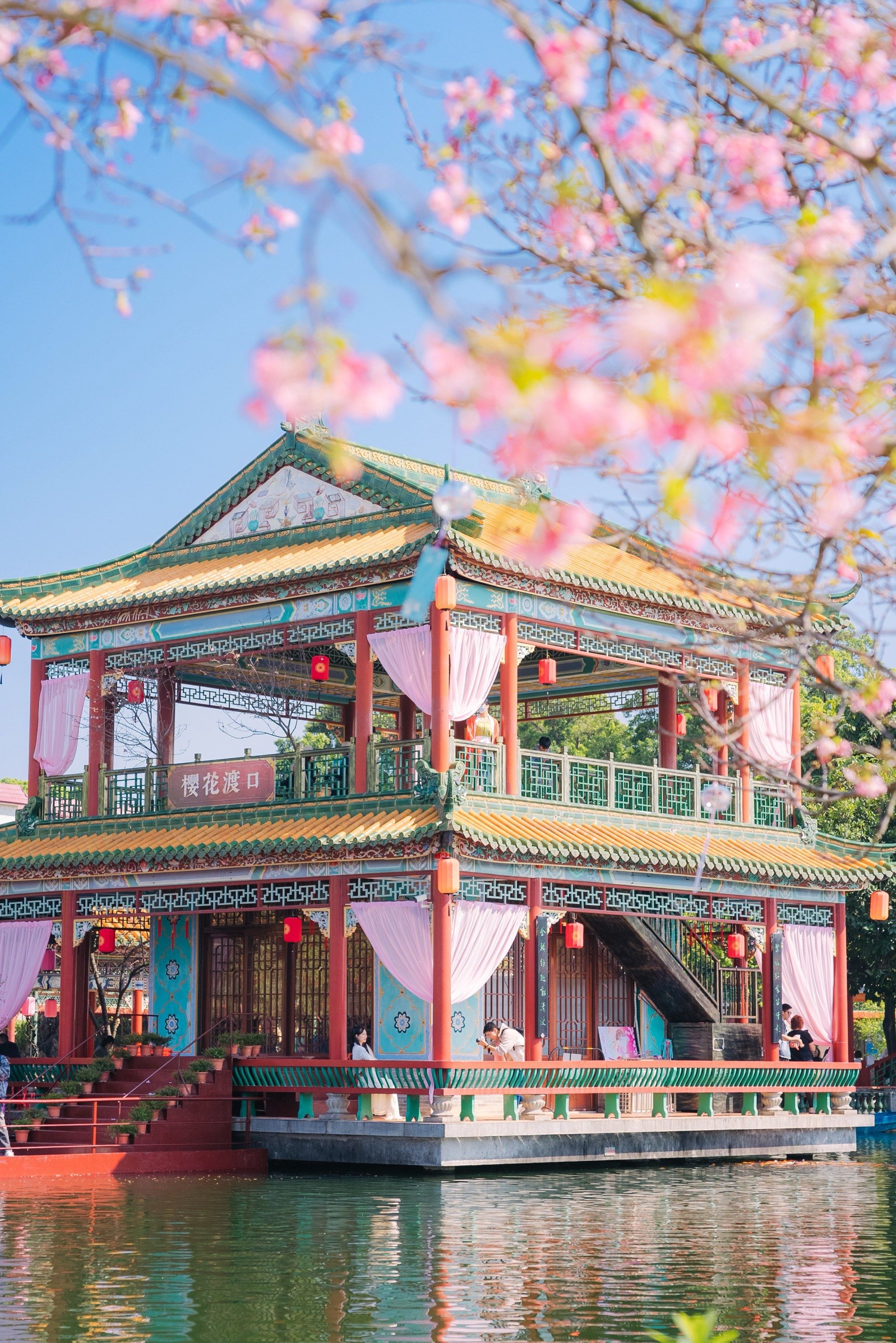 广州宝墨园樱花盛开,穿上汉服一起赏樱94吧