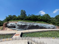 -三水森林公园