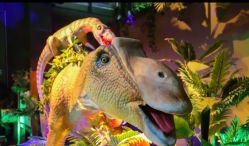 -恐龙探索乐园(磁器口店)