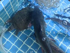 -阿娘家·原生态农家菜(国顺东路店)