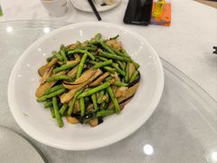 -姚林轩