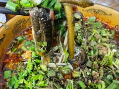 -乐山第一家临江鳝丝(茶坊路店)