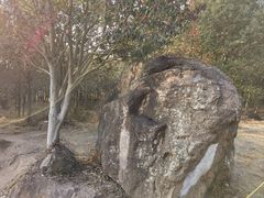 -南京市无想山景区