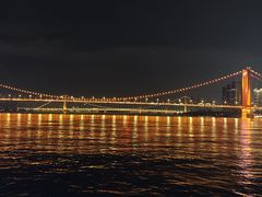 -武汉两江游览·夜游长江(汉口粤汉码头)