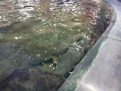 -鸿通城购物中心