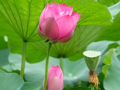 -大宁灵石公园西门票处