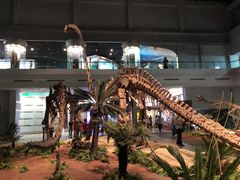 -自贡恐龙博物馆