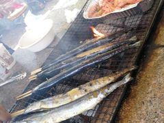 -吴淞炮台湾湿地森林公园烧烤区