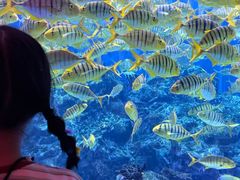 -海合安成都极地海洋公园