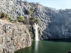 -上海辰山植物园