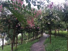 -西安汉城湖景区