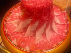 -牛New寿喜烧(金鹰世界店)