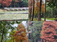 -荔枝公园(福田区)