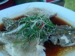 -万柳阁小馆·花园餐厅(龙潭湖店)