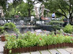 -蘇河湾·新鲁菜·泰山宴(泰山店)
