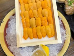 大满足海胆刺身-东京屋(武定路店)