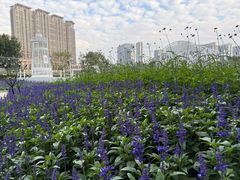 -龙环葡韵住宅式博物馆