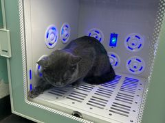 -宠伴小精灵宠物店(鼓楼店)
