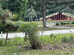-北陵公园