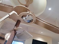 -滚猫咖啡·猫咖·猫友好撸猫(未来城店)