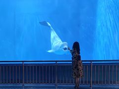 -多彩贵州城极地海洋世界