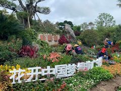 -东平国家森林公园