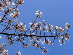 -西北湖绿化广场